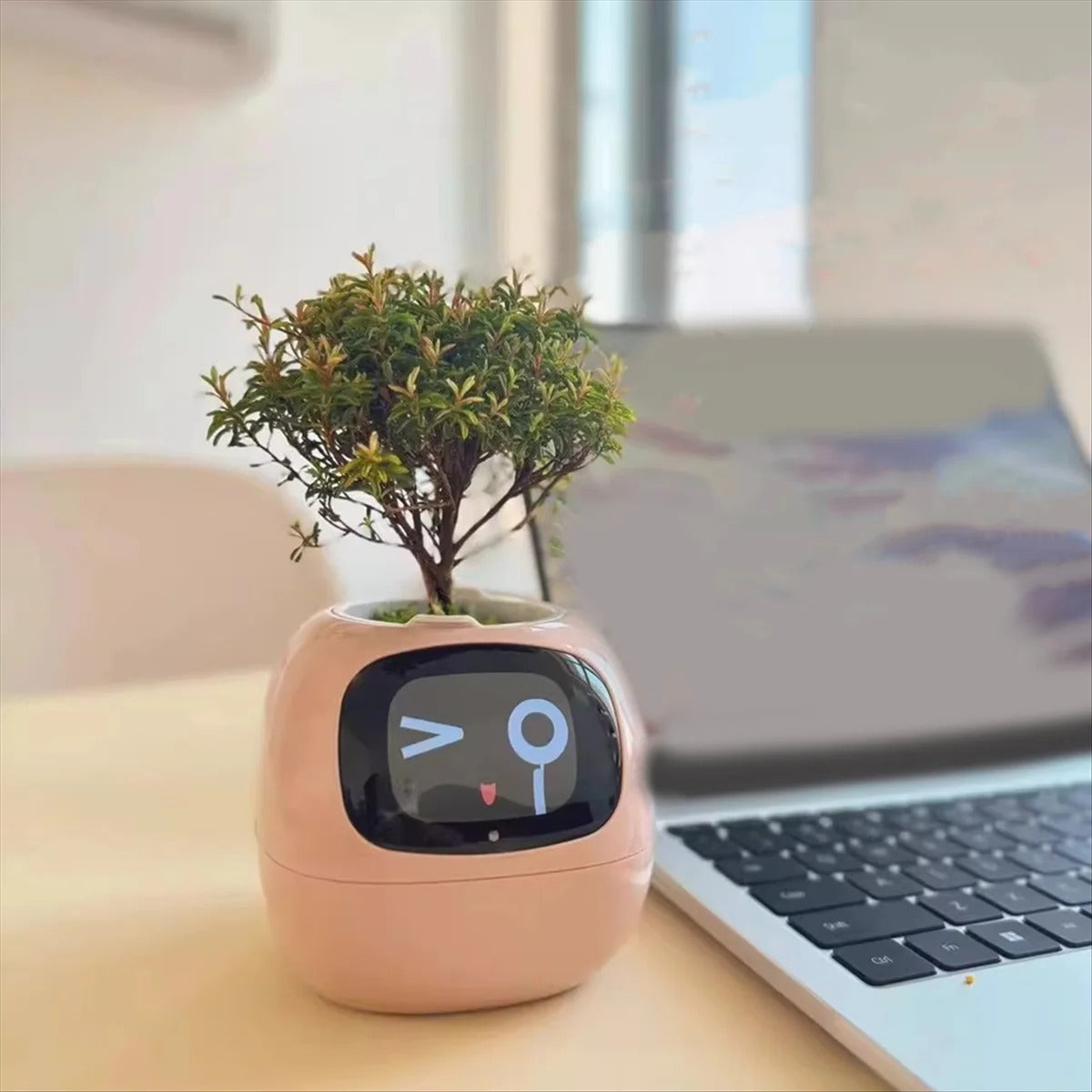 Plantagotchi - robô planta Inteligente compre 1 e leve 2